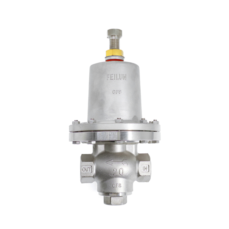 Regulador de presi&oacute;n criog&eacute;nica de baja temperatura de acero inoxidable DYS-20